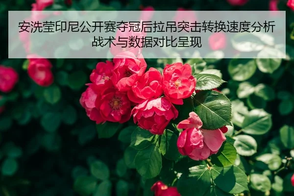 安洗莹印尼公开赛夺冠后拉吊突击转换速度分析战术与数据对比呈现（jiuyou）